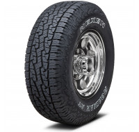 Roadstone Roadian A/T Pro RA8 285/65 R17 116S